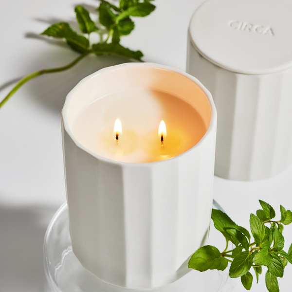 Soy Candle 350g | White Tea & Wild Mint (Alchemy)